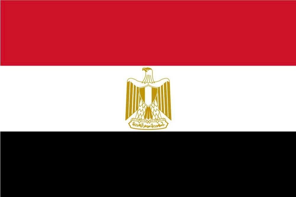 flag-icon